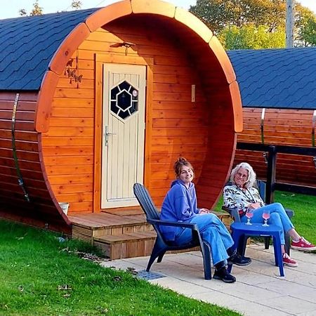 Glamping At Treegrove Hotell Kilkenny Exteriör bild