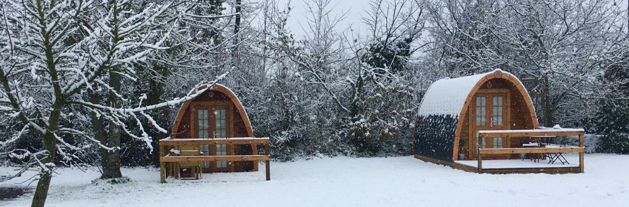 Glamping At Treegrove Hotell Kilkenny Exteriör bild