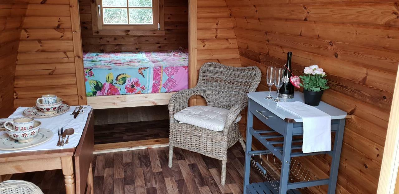 Glamping At Treegrove Hotell Kilkenny Exteriör bild