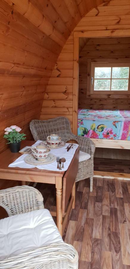 Glamping At Treegrove Hotell Kilkenny Exteriör bild